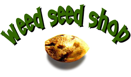 Weed Seed Shop